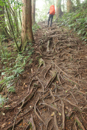 加羅湖之1-順登四季薰山 加羅湖之1-順登四季薰山