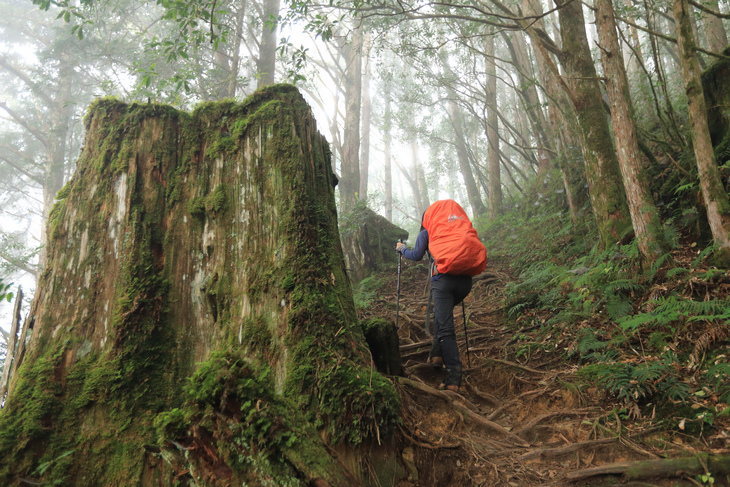 加羅湖之1-順登四季薰山 加羅湖之1-順登四季薰山