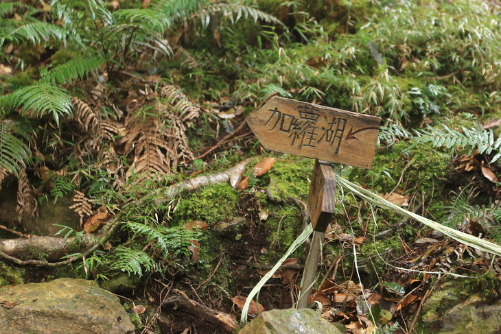 加羅湖之1-順登四季薰山 加羅湖之1-順登四季薰山