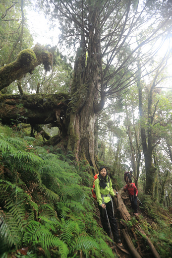 加羅湖之1-順登四季薰山 加羅湖之1-順登四季薰山