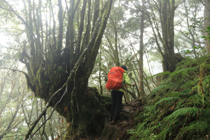 加羅湖之1-順登四季薰山 加羅湖之1-順登四季薰山