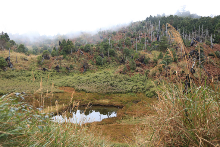 加羅湖之1-順登四季薰山 加羅湖之1-順登四季薰山