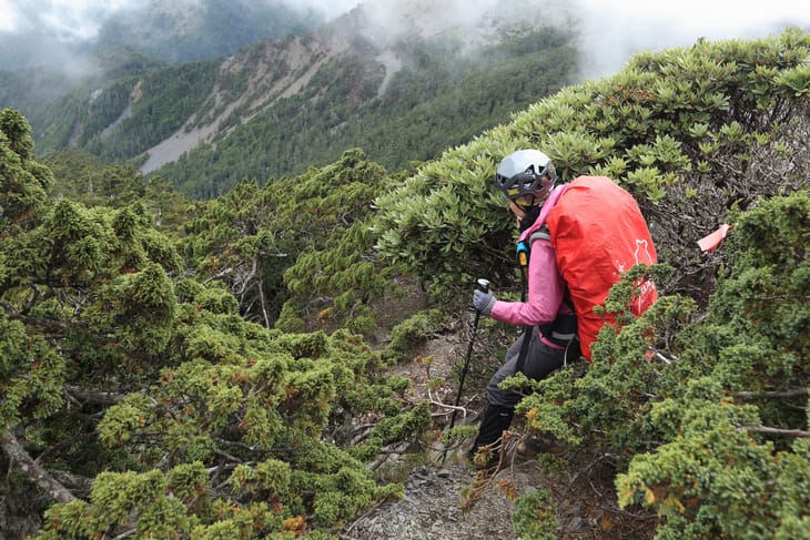 IMG_0705.jpg IMG_0705.jpg