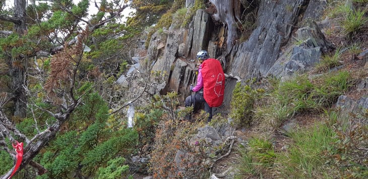 IMG_0718-1.jpg