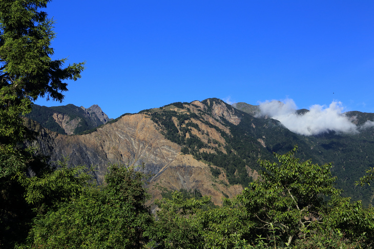 IMG_1077.jpg