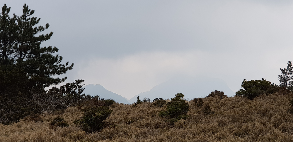DSCF3983.jpg