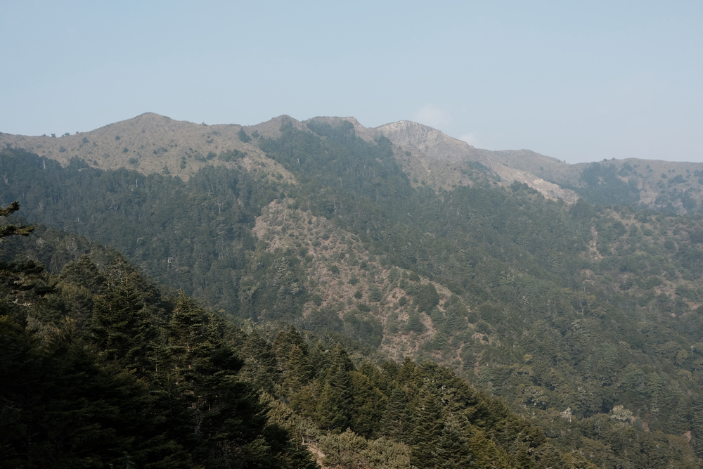 DSCF3993.jpg