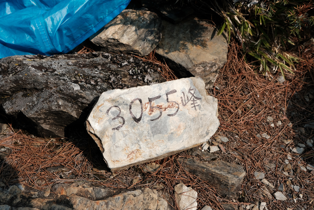 DSCF3997.jpg