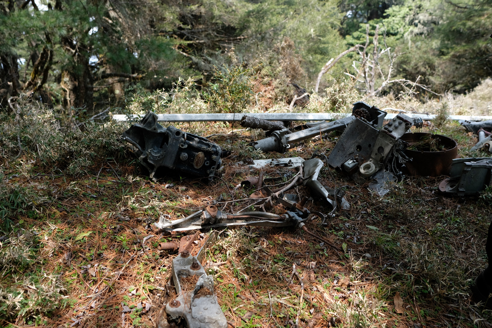 DSCF4011.jpg