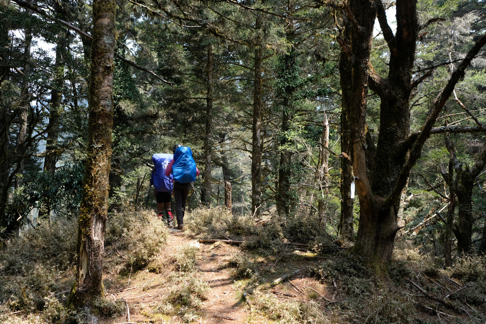 DSCF4029.jpg
