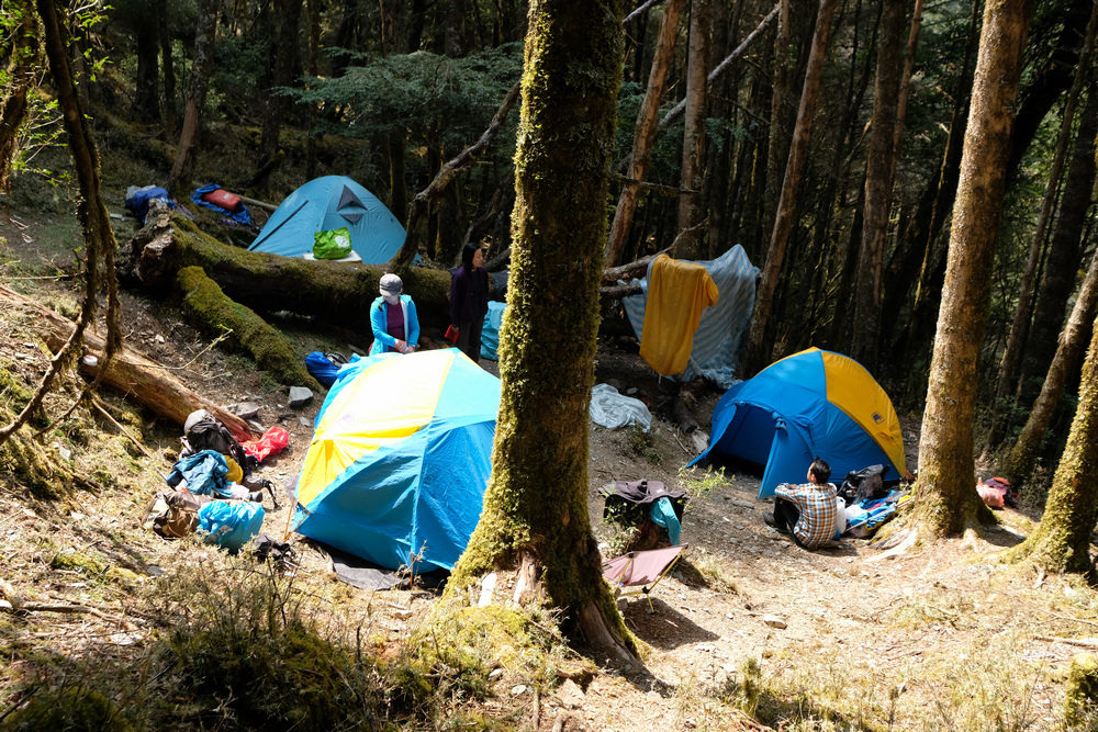 DSCF4041.jpg