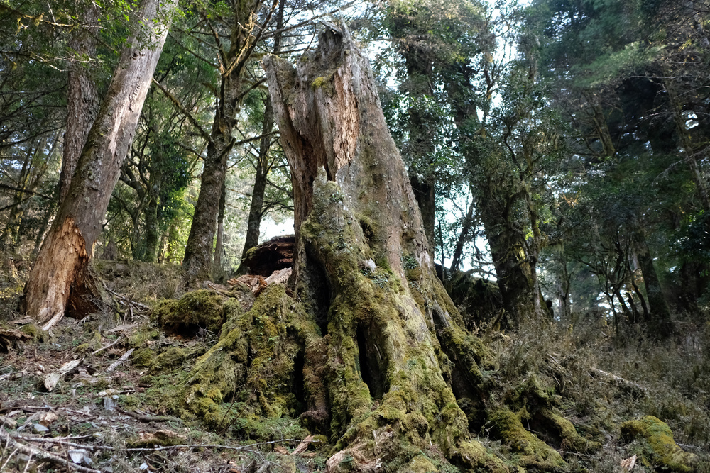 DSCF4048.jpg