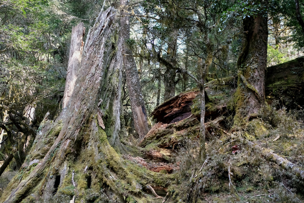 DSCF4049.jpg