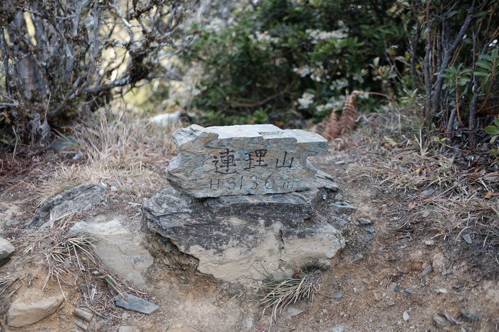 DSCF4107.jpg