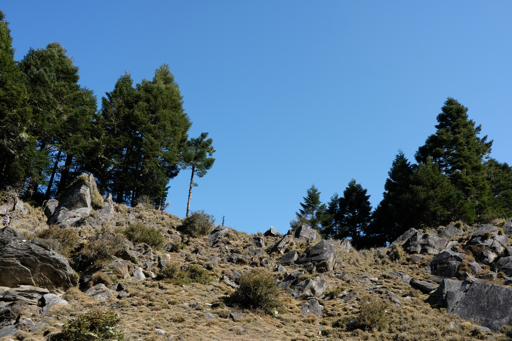 DSCF4133.jpg