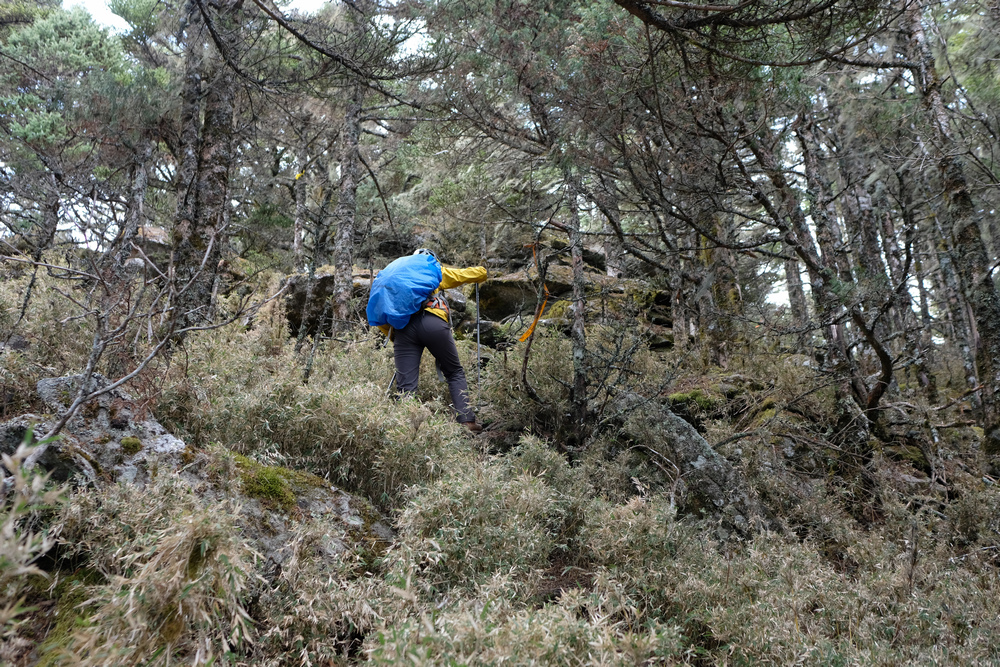 DSCF4159.jpg