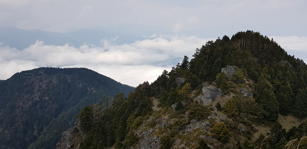 DSCF4170-6.jpg