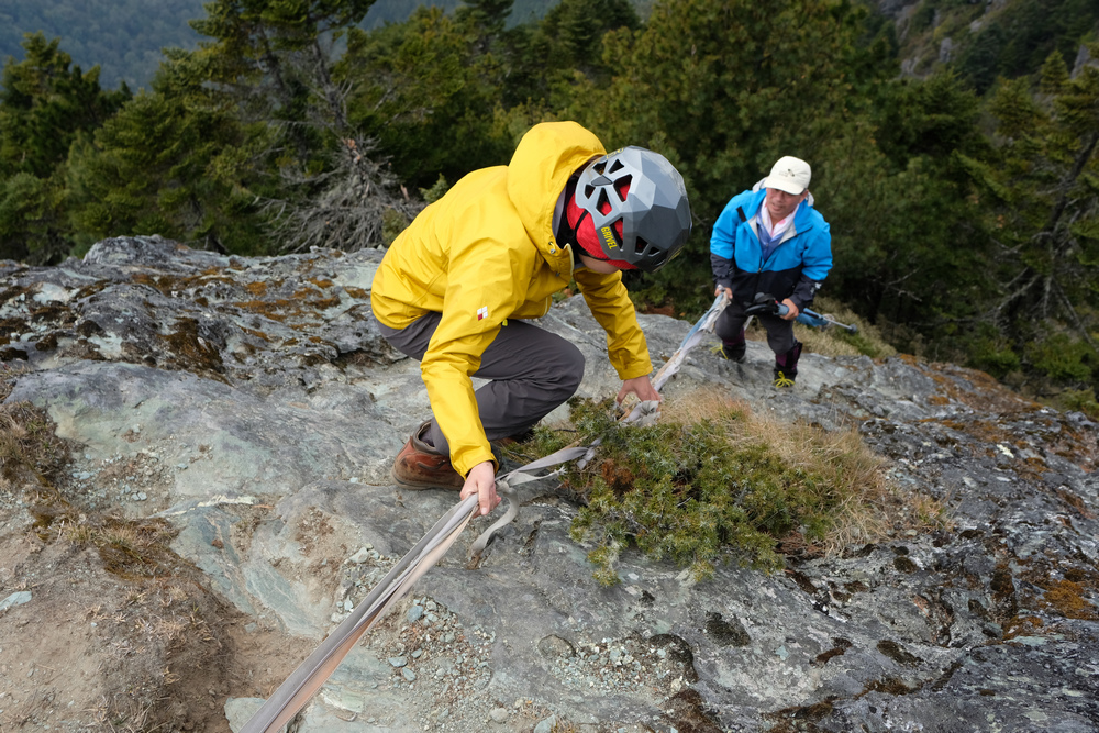 DSCF4172.jpg
