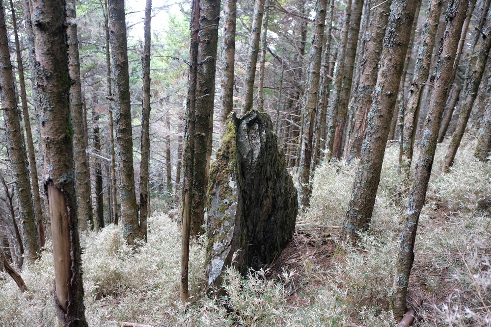 DSCF4185.jpg