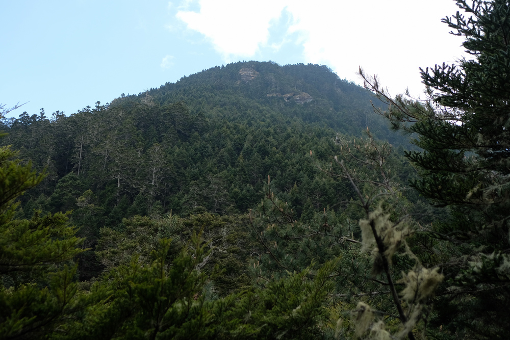 DSCF4187.jpg