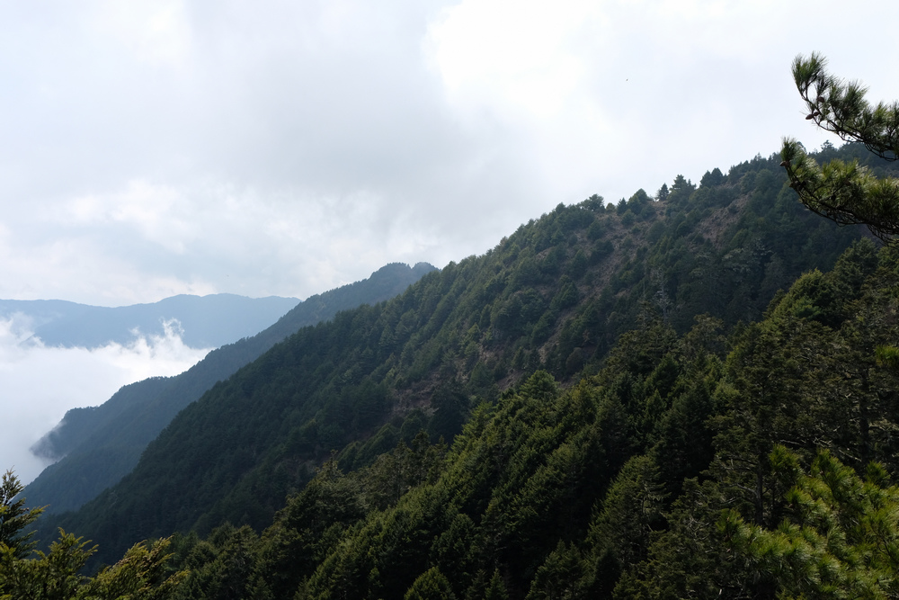 DSCF4202.jpg