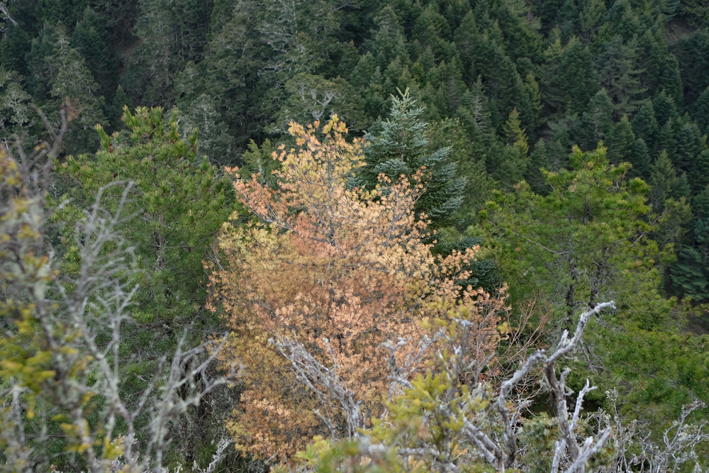 DSCF4189.jpg