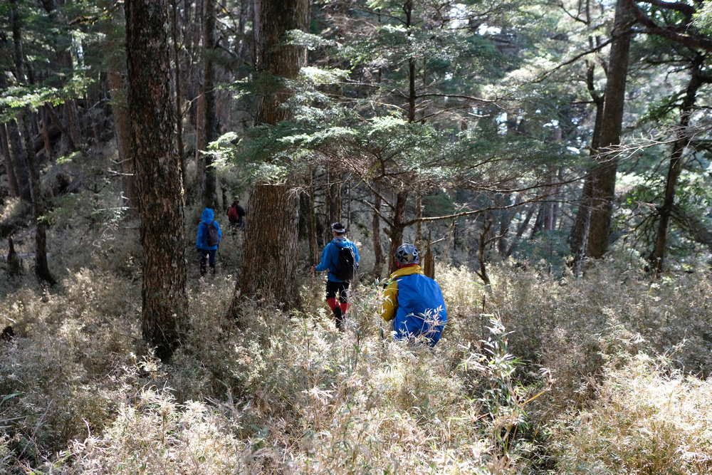 DSCF4212.jpg