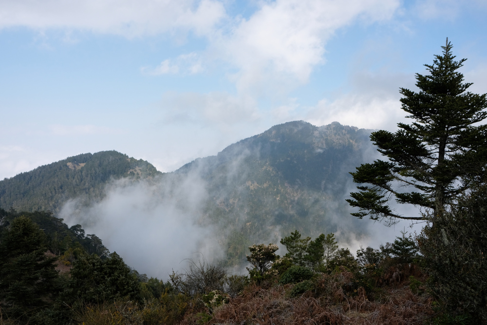 DSCF4240.jpg
