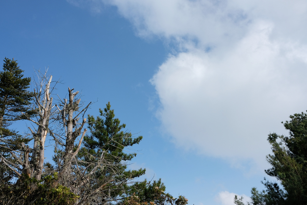 DSCF4241.jpg