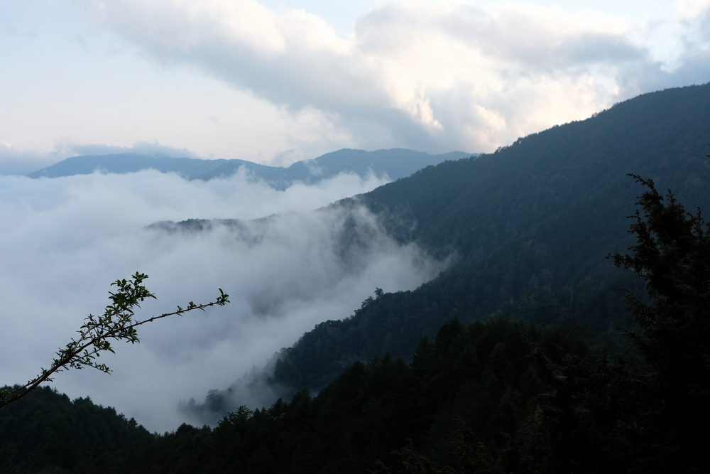 DSCF4257.jpg