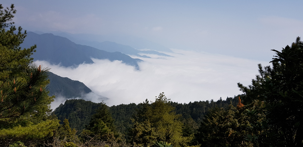 DSCF4269-2.jpg
