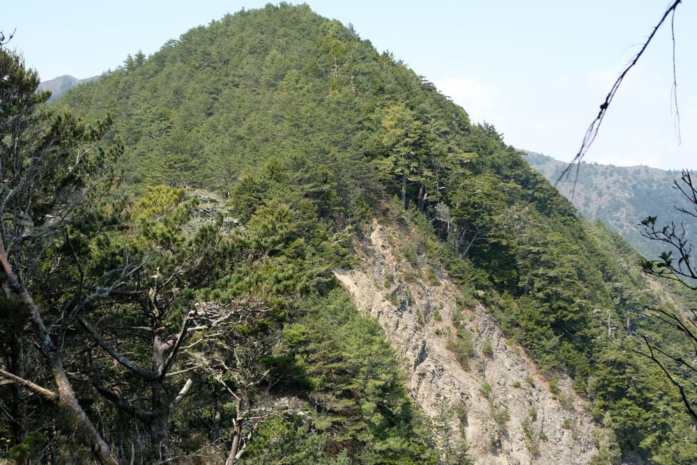 DSCF4270.jpg