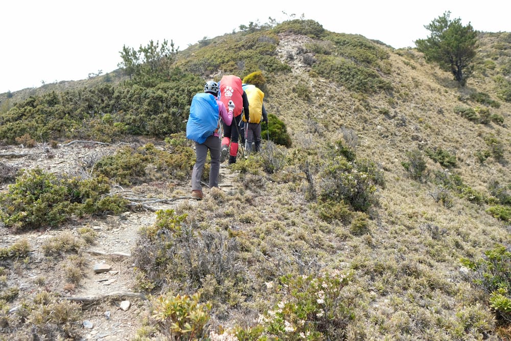 DSCF4279.jpg
