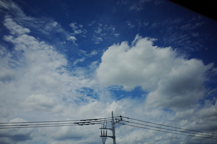 R0023522.jpg R0023522.jpg