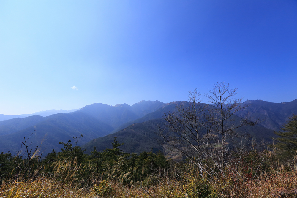 IMG_4160.jpg