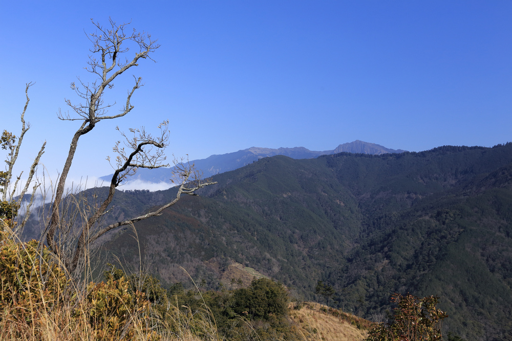 IMG_4200.jpg