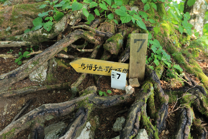 IMG_7502.jpg