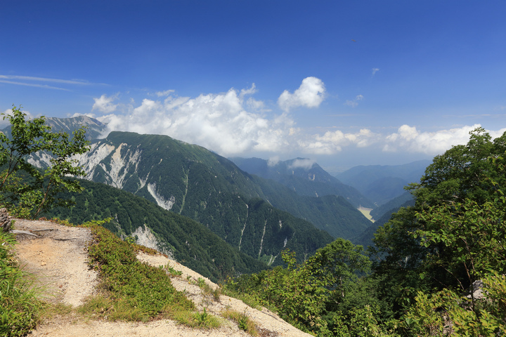 IMG_7658.jpg
