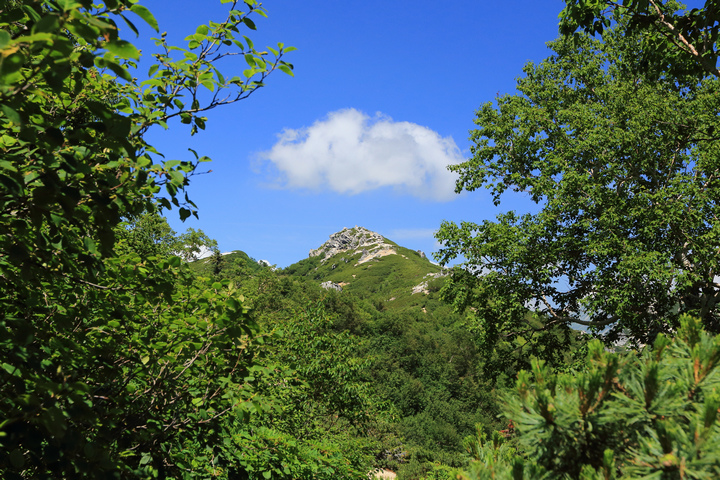 IMG_7645.jpg