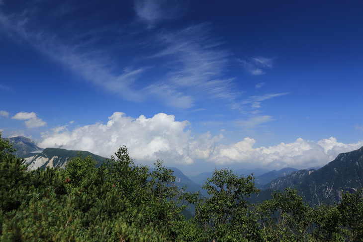 IMG_7696.jpg