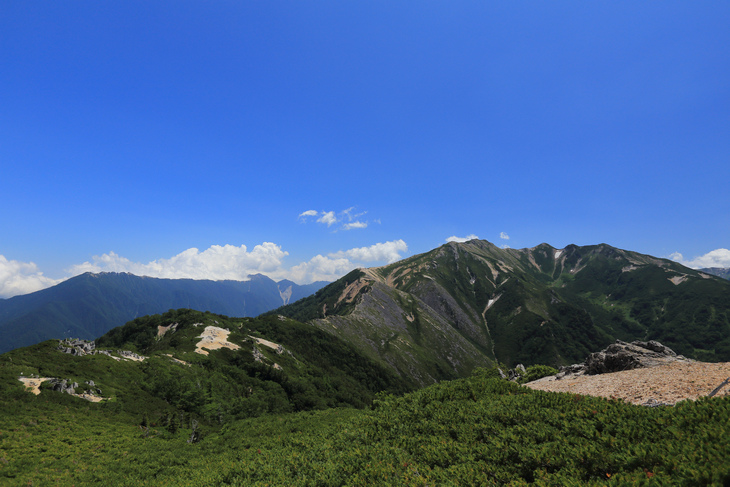 IMG_7709.jpg