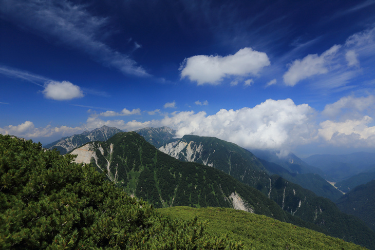 IMG_7711.jpg