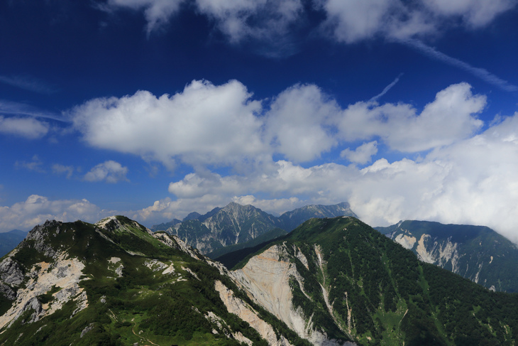 IMG_7747.jpg