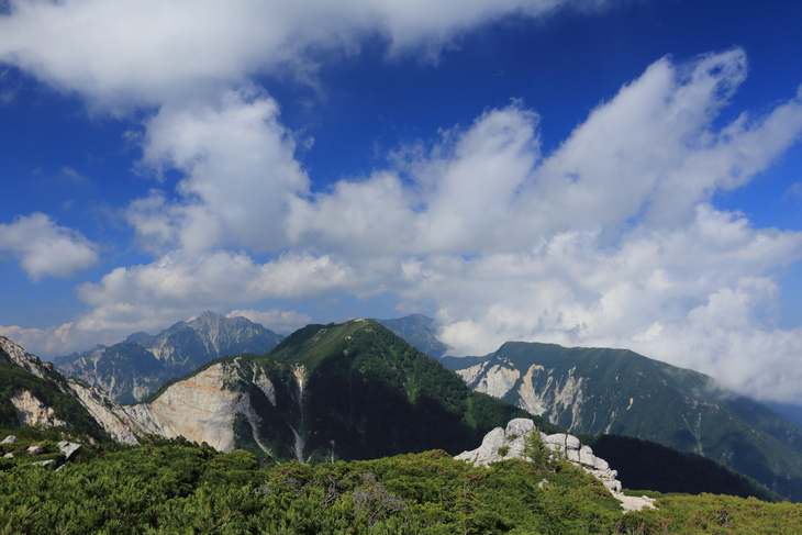 IMG_7783.jpg