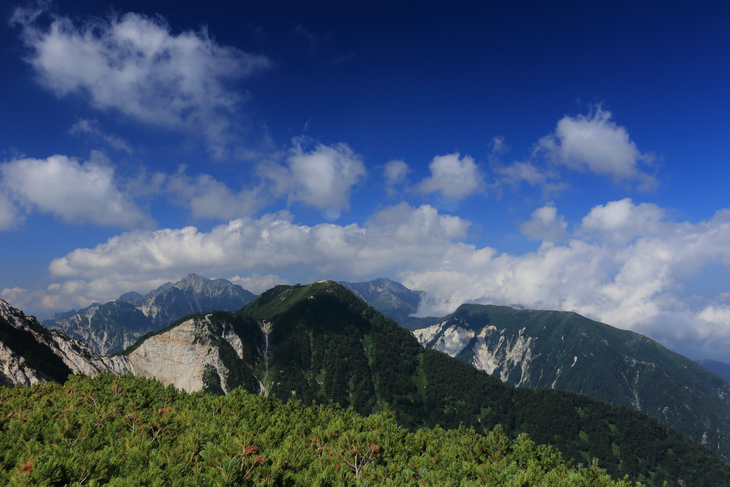 IMG_7794.jpg