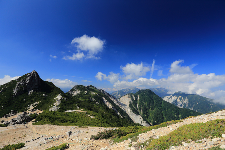 IMG_7801.jpg