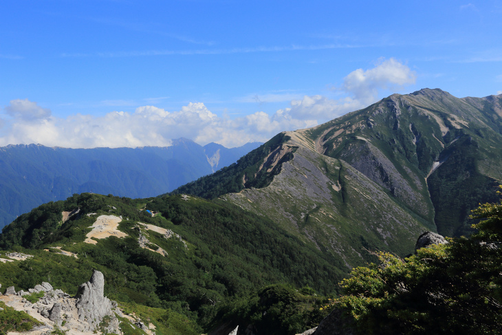 IMG_7811.jpg