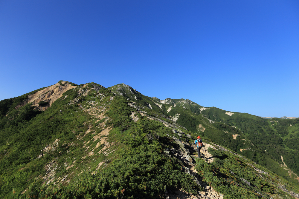 IMG_7875.jpg