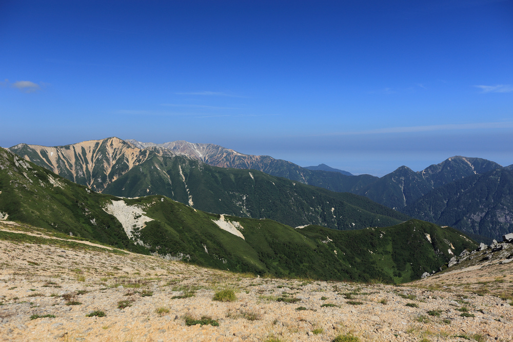 IMG_7935.jpg