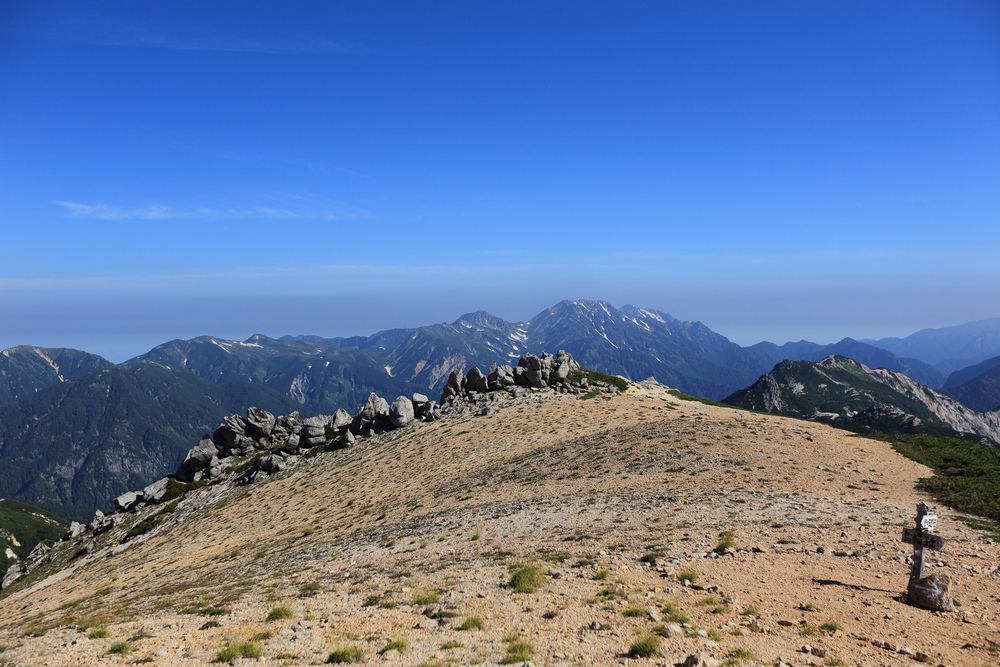 IMG_7934.jpg